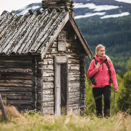 Trillevallens Hoegfjaellshotell & Laegenheter Buitenkant foto